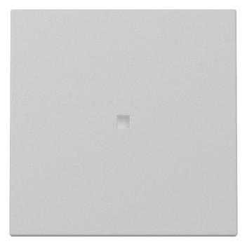 1St. Gira 3290015 Wippe Kontrollfenster System 55 grau matt