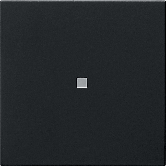 1St. Gira 5495005 Gira eNet Funk Bedienaufs. System 55 Schwarz m