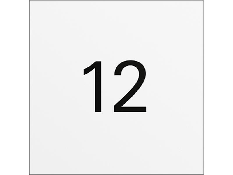 1St. Gira 5560902 Info-Modul System 106 Verkehrsweiß(lack.)