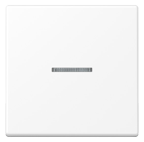 1St. Jung BT A 17101 WWM Jung HOME Taster 1fach, Thermoplast lack