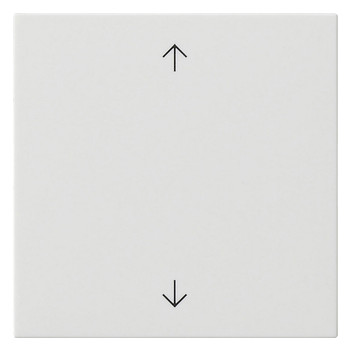 1St. Gira Wippe 1f Pfeile System 55 538903 Reinweiß