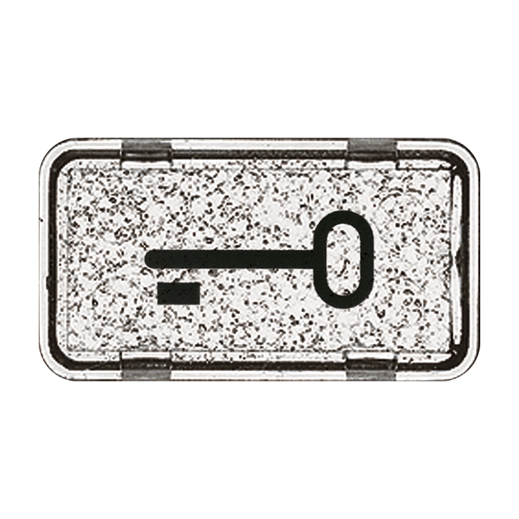 1St. Busch-Jaeger 2622 TR-101 Tastersymbol, Schlüssel Allwetter 44 (IP 44) glasklar