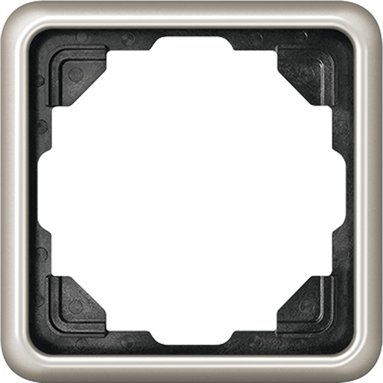 1St. Jung CD581PT CD 581 PT Rahmen 1fach für waagerechte und senkrechte Kombination CD 581 PT