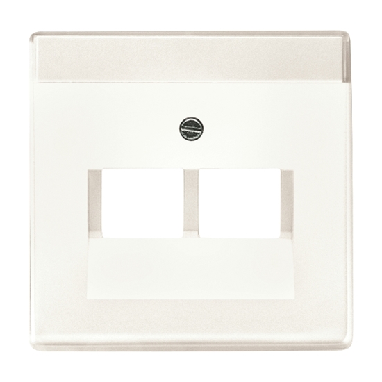 1St. Busch-Jaeger 1803-02-884 Zentralscheibe für UAE 2-fach carat studioweiß matt