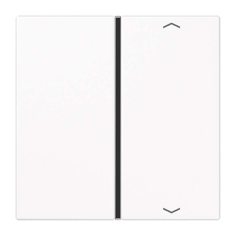 1St. Jung LS401TSAPWW Taste 1fach Symbole Auf/Ab LS 401 TSAP WW