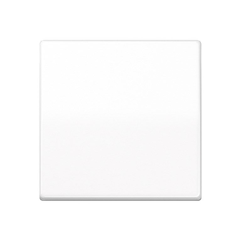 1St. Jung ABAS591WW Wippe Zentralplatte antibakteriell ABAS 591 WW