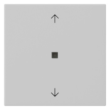 1St. Gira 5388015 Wippe 1f Pfeile Kontrollf. System 55 Gra