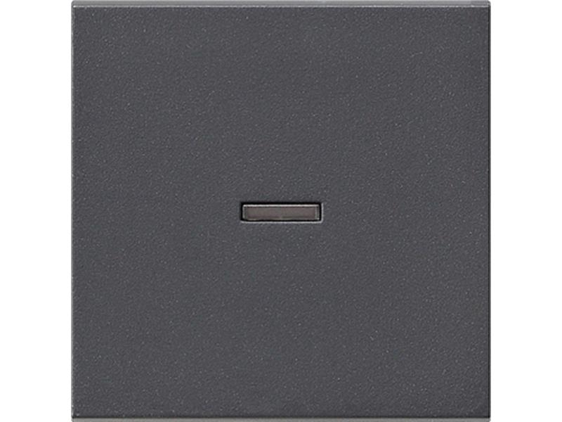 1St. Gira 029028 Wippe Kontrollfenster System 55 Anthrazit