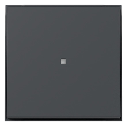 1St. Gira 329067 Wippe Kontrollfenster Gira TX_44 (WG UP) anthrazit