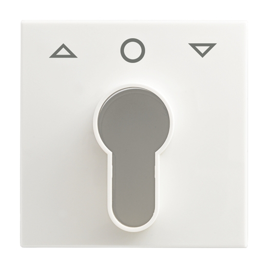 1St. Busch-Jaeger 2557 PZ-914-101 Zentralscheibe, mit Aufdruck Busch-balance SI alpinweiß