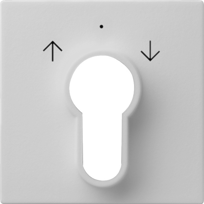 1St. Gira 0664015 Abd. Schlüsselschalter/-taster System 55 Grau m