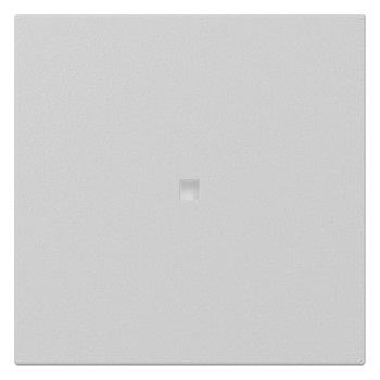 1St. Gira 3490015 Wippe gerade Kontrollfenster System 55 grau matt