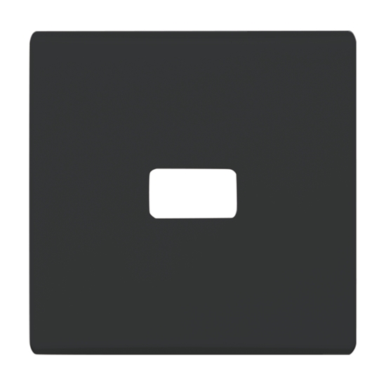 1St. Busch-Jaeger 2120-35 Wippe, offen für Symbol Allwetter 44 (IP 44) anthrazit