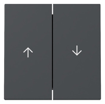 1St. Gira 329428 Wippe 2-fach Pfeil System 55 anthrazit