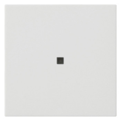 1St. Gira Wippe 1f unbedruckt 537127 Kontrollf.System 55 Reinweiß m