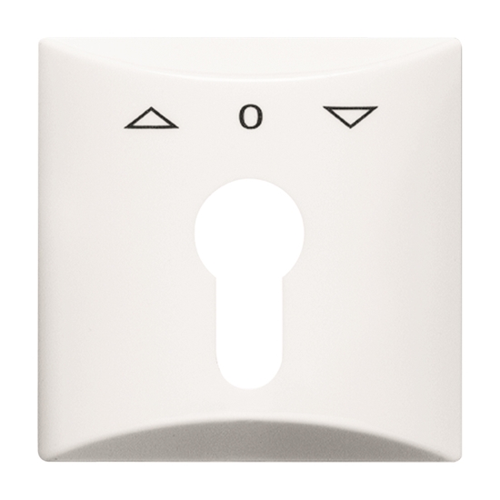 1St. Busch-Jaeger 2155 PZ-34 Zentralscheibe, mit Aufdruck Allwetter 44 (IP 44) alpinweiß