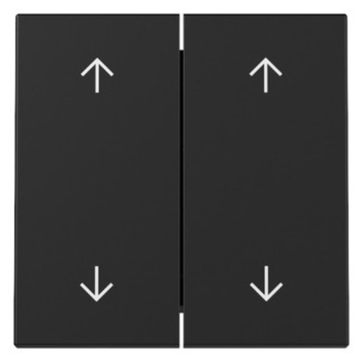 1St. Gira 3297005 Wippe 2-fach Pfeile System 55 schwarz matt