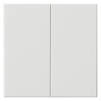 1St. Gira 537003 Wippe 2f unbedruckt System 55 Reinweiß