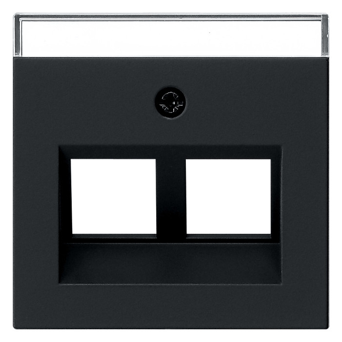 1St. Gira 2640005 Abdeckung 30° mit Beschriftungsfeld f. Tragring MJ 2fach, Schwarz matt