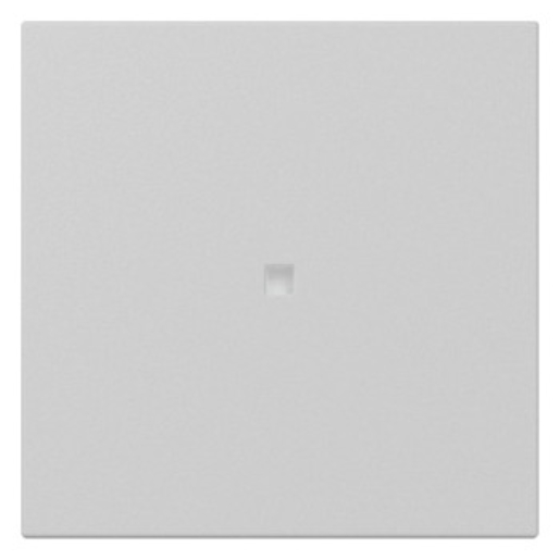 1St. Gira 3490015 Wippe gerade Kontrollfenster System 55 grau matt