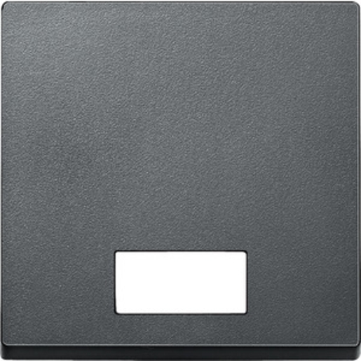 1St. Merten 433814 Wippe mit rechteckigem Symbolfenster, anthrazit, System M