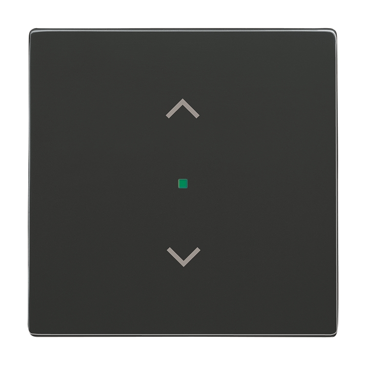 1St. Busch-Jaeger 6232-10-81 Wippe, 1-fach, mit Symbol Jalousie Busch-free@home anthrazit