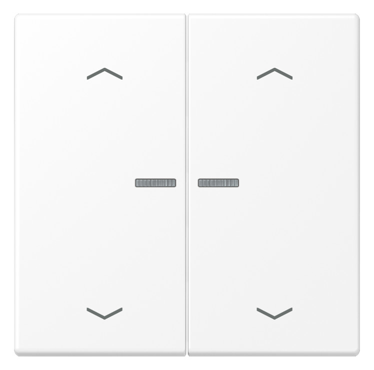 1St. Jung LS 102 KO5P WWM Wippe mit Lichtleiter, mit Pfeilsymbolen