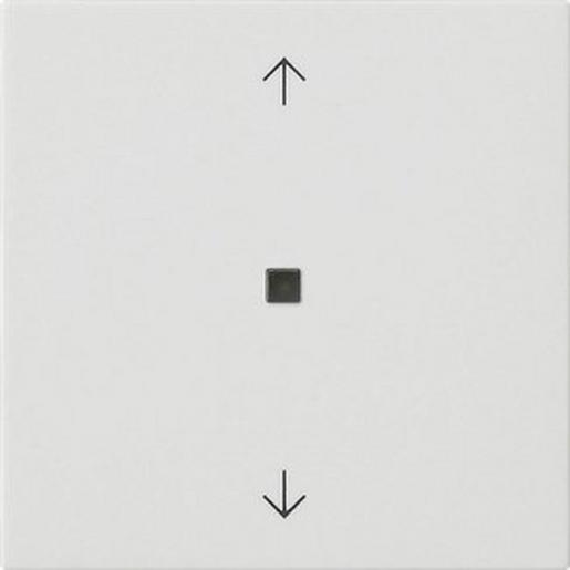 1St. Gira 538827 Wippe 1f Pfeile Kontrollf. System 55