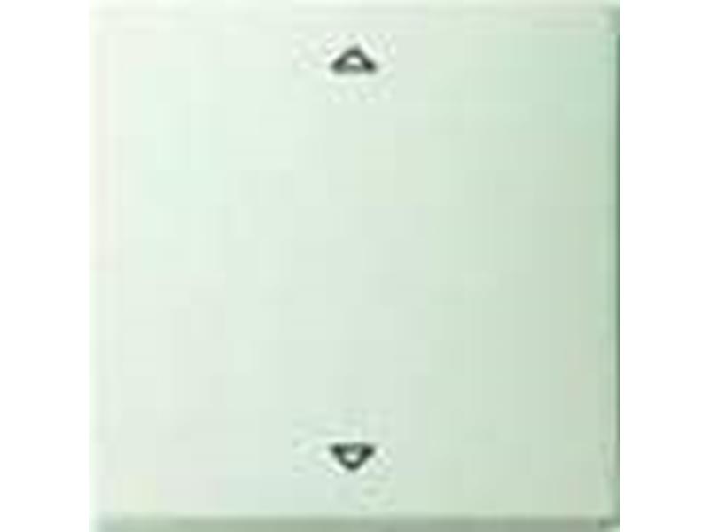 1St. Gira 028427 Abdeckung mit Beschriftungsfeld UAE IAE ISDN System 55 Reinweiß matt