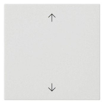 1St. Gira 538927 Wippe 1f Pfeile System 55 Reinweiß seidenmatt