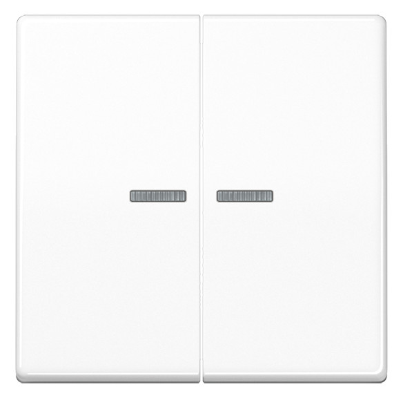 1St. Jung JUNG HOME Taster 2fach BTA17102WW