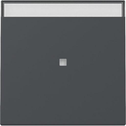 1St. Gira 367028 Wippe Kontrollfenster + BSF System 55 anthrazit