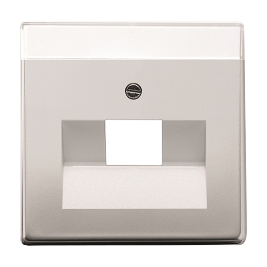 1St. Busch-Jaeger 1803-866 Zentralscheibe für UAE pur edelstahl edelstahl