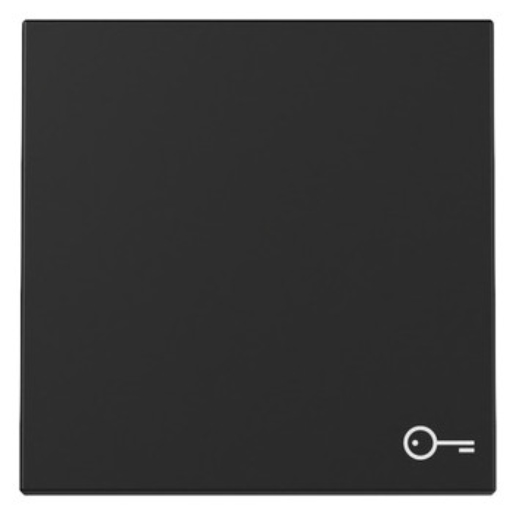 1St. Gira 3287005 Wippe Symbol Tür System 55 schwarz matt