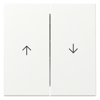 1St. Gira 329427 Wippe 2-fach Pfeil System 55 reinweiß seidenmatt