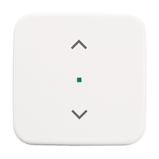 1St. Busch-Jaeger 6232-10-214 Wippe, 1-fach, mit Symbol Jalousie Busch-free@home alpinweiß