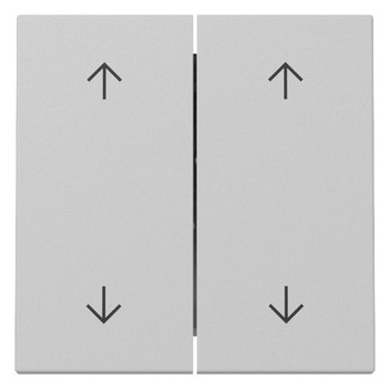 1St. Gira 3297015 Wippe 2-fach Pfeile System 55 grau matt