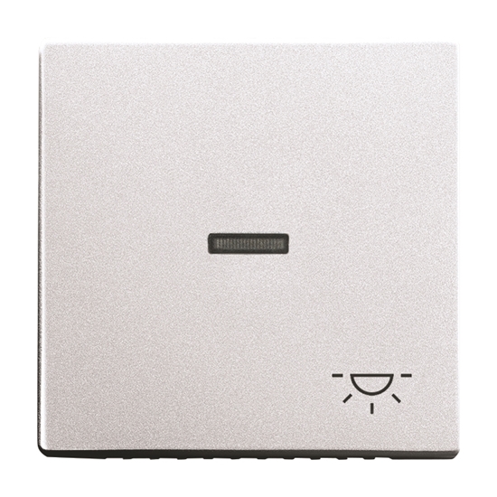 1St. Busch-Jaeger 1789 LI-83 Wippe mit Aufdruck Licht, mit kleiner transparenter Kalotte Busch-axcent alusilber