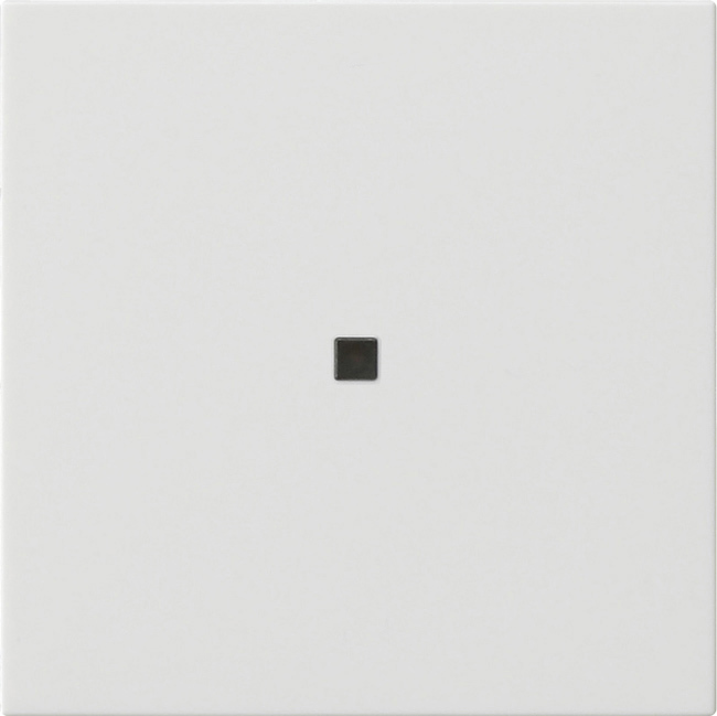 1St. Gira 549503 Gira eNet Funk Bedienaufs. System 55 Reinweiß