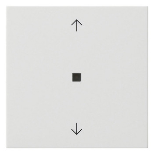 1St. Gira Wippe 1f Pfeile 538803 Kontrollf.System 55 Reinweiß