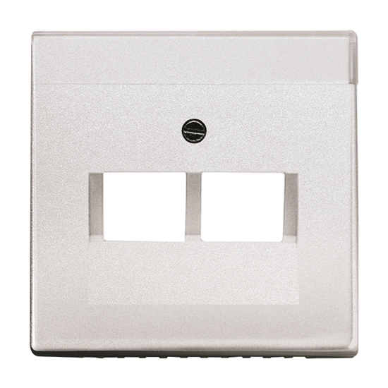 1St. Busch-Jaeger 1803-02-83 Zentralscheibe für UAE 2-fach Busch-axcent alusilber