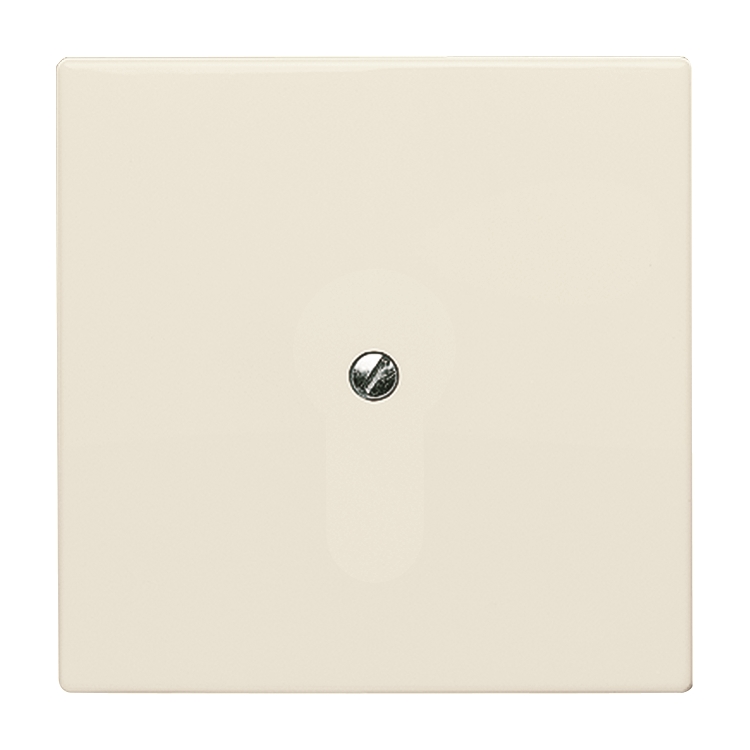 1St. Busch-Jaeger 2138-32 Blindzentralscheibe, mit Tragring Allwetter 44 (IP 44) cremeweiß