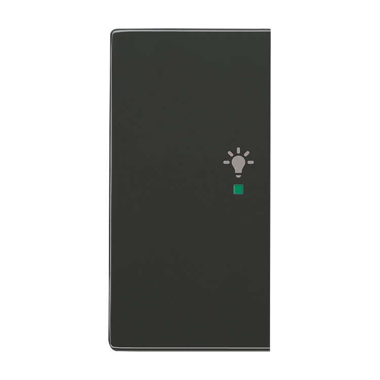 1St. Busch-Jaeger 6231-21-81 Wippe, 2-fach links, mit Symbol Licht Busch-free@home anthrazit