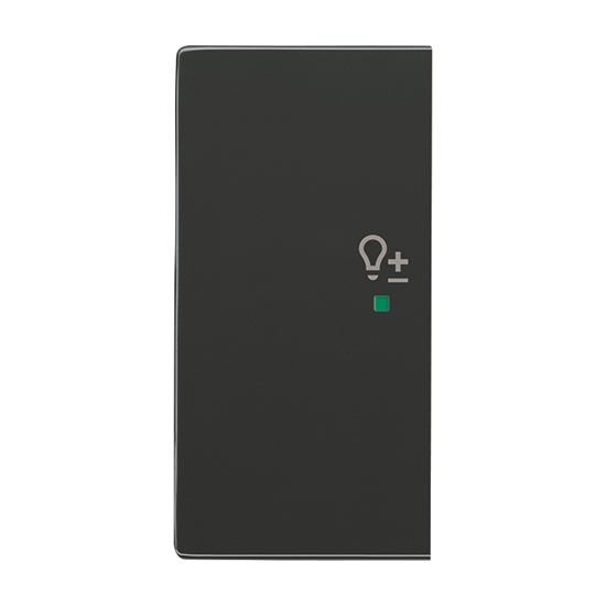 1St. Busch-Jaeger 6234-21-81 Wippe, 2-fach links, mit Symbol Dimmer Busch-free@home anthrazit