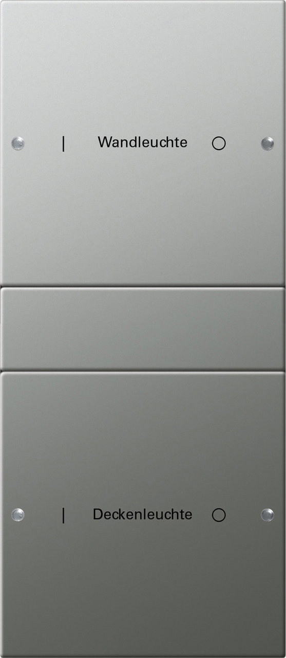 1St. Gira 2132602 Wippenset 2f (1+1) beschr. System 55 Edelstahl