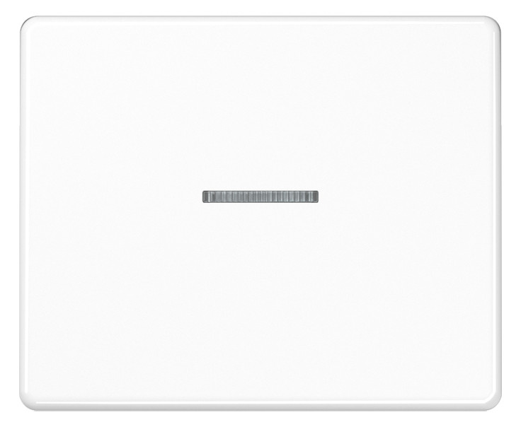 1St. Jung SL590KO5WW Wippe Linse Lichtleiter für Wipp-Kontrollschalter Tast-Kontrollschalter beleuchtbare Taster und Tas 1St. Jung SL590KO5WW Wippe Linse Lichtleiter für Wipp-Kontrollschalter Tast-Kontrollschalter beleuchtbare Taster und Tas