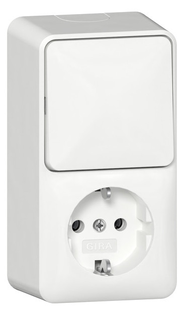 1St. Gira 417613 Kombi AusWe/SCHUKO senkr. + Montagepl. A