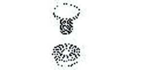 10St. Niedax FLM10x25F Flachrundkopfschraube FLM 10x25 F 10St. Niedax FLM10x25F Flachrundkopfschraube FLM 10x25 F...