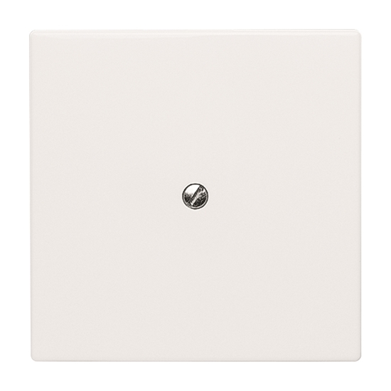 1St. Busch-Jaeger 2138-34 Blindzentralscheibe, mit Tragring Allwetter 44 (IP 44) alpinweiß