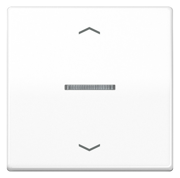 1St. Jung JUNG HOME Taster 1fach BTA17101PWW m.Pfeilsymbolen